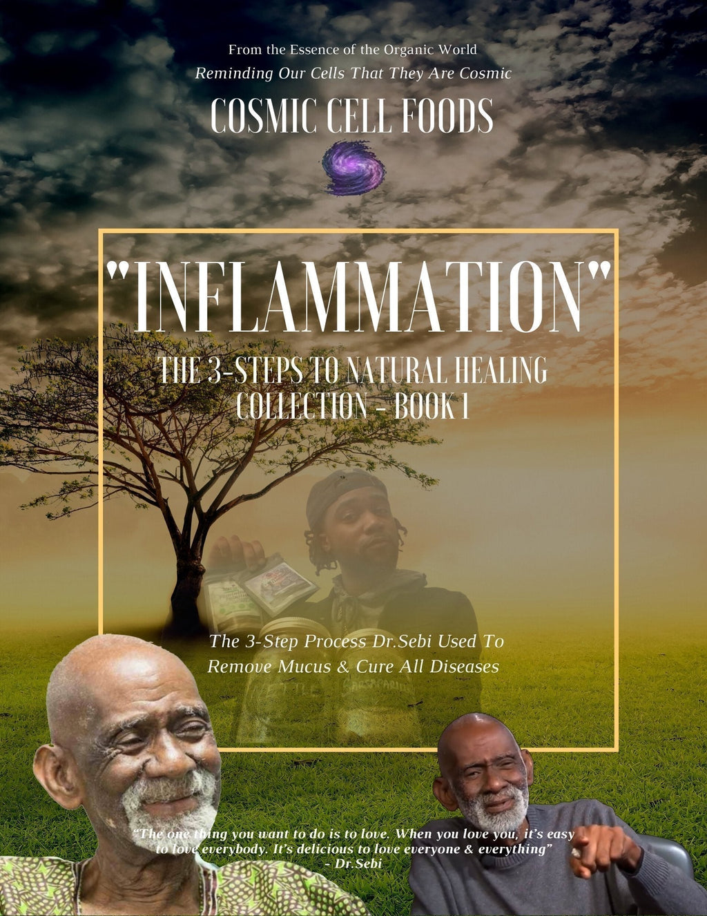 [HOLIDAY SPECIAL] "Inflammation" The 3-Steps To Healing Book Collection - Book 1 - The Cosmic Chef